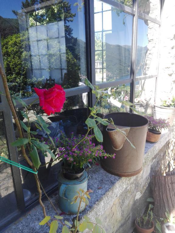 Sweet Home Faggeto Lario Exterior foto